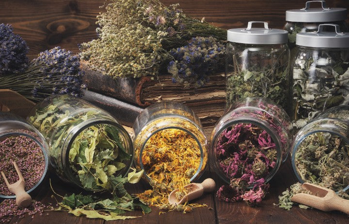 Five Love Herbs Every Witch Needs