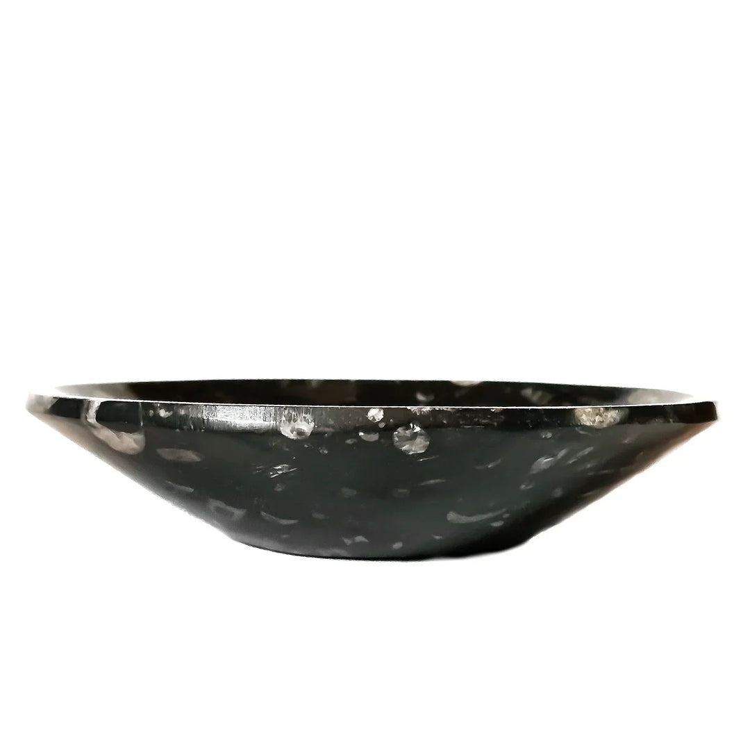 Hand-carved Orthoceras fossil bowl, 6 inches wide, with ancient marine fossil detail—perfect for spiritual offerings, ritual use, and altar display
