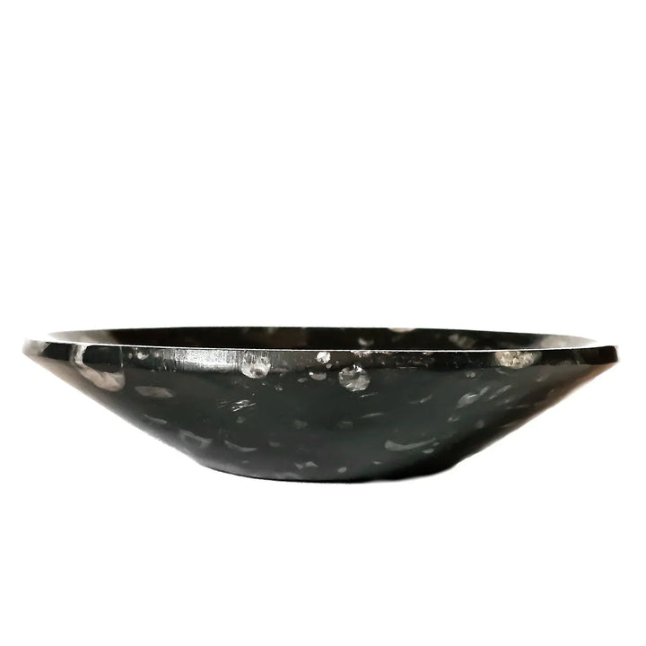 Hand-carved Orthoceras fossil bowl, 6 inches wide, with ancient marine fossil detail—perfect for spiritual offerings, ritual use, and altar display