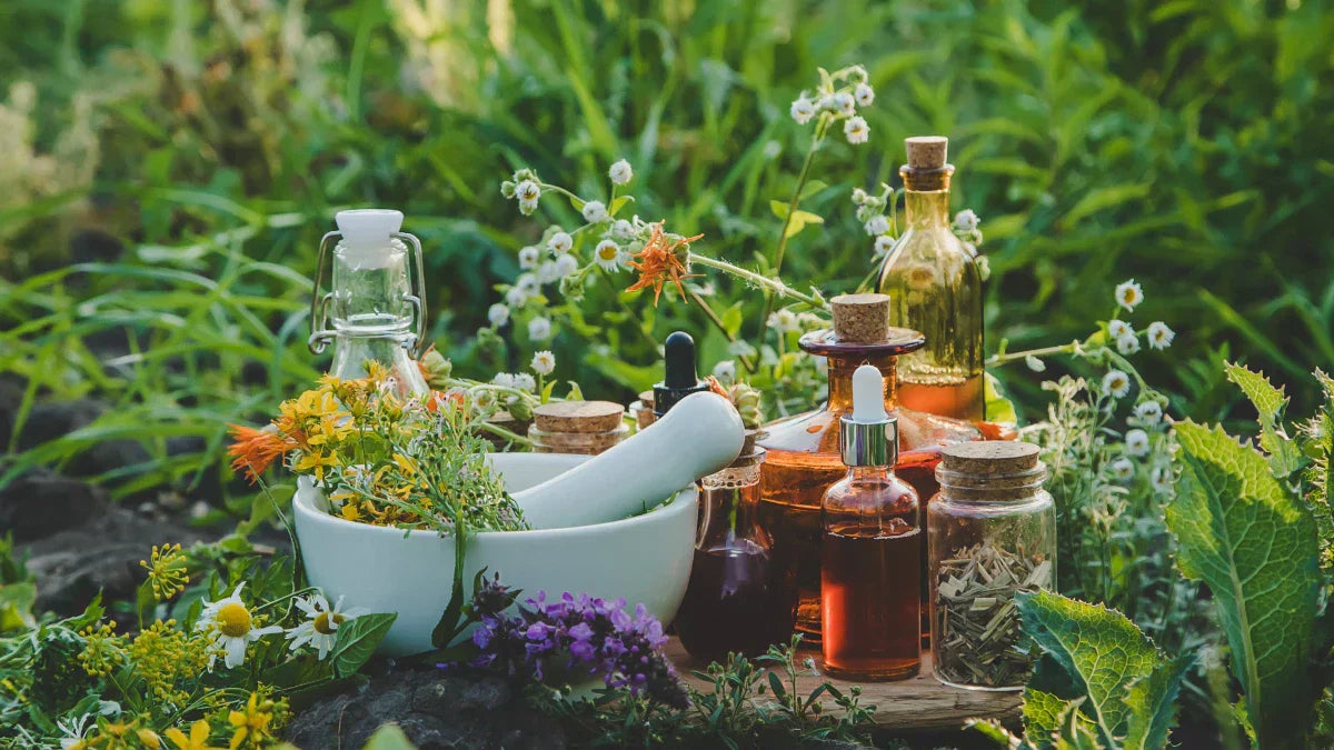 Herbs, oils and fresh botanicals prepared for love, money, and protection rituals