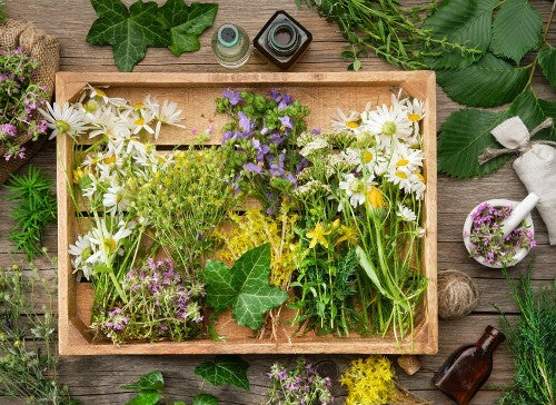 Herbs and flowers on a wooden tray. Read about the Nine Herbs Charm for Healing, Love & Protection.
