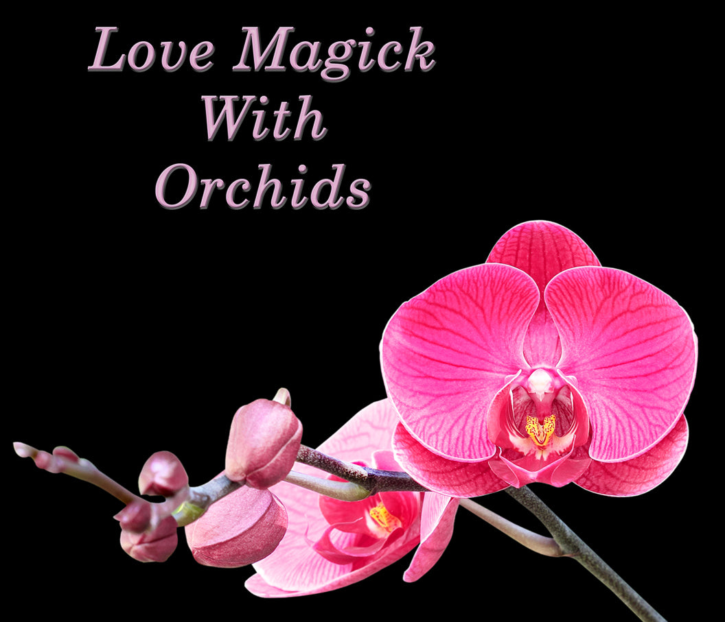 The Magic of Orchids in Wiccan Love Spells & Rituals