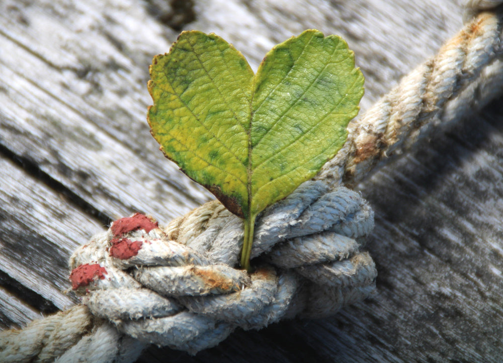 What Is Knot Magic? History, Uses, and Spell Techniques