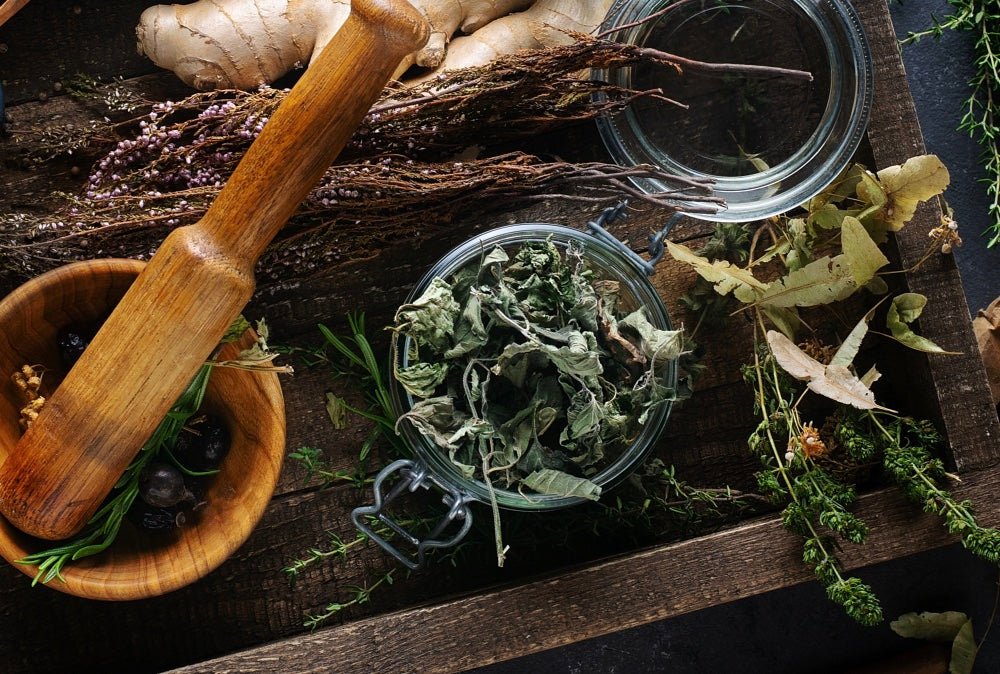 Dried mint to be used in spells. Read about mint magical properties & its history in this blog.