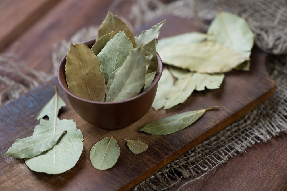 Bay Leaves in a bowl. Read about Bay Leaf magical properties here.