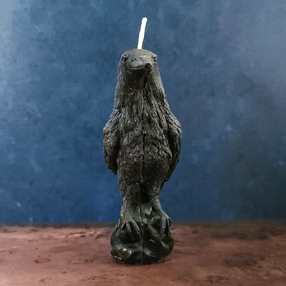 Black Raven Candle for Rituals and Pagan Magic