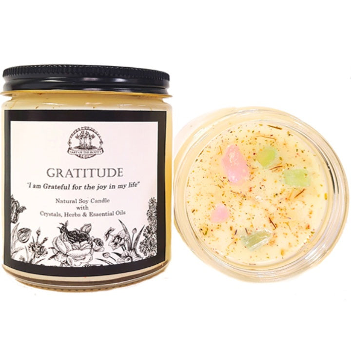 Gratitude Soy affirmation Candle with Crystals - Art of the Root